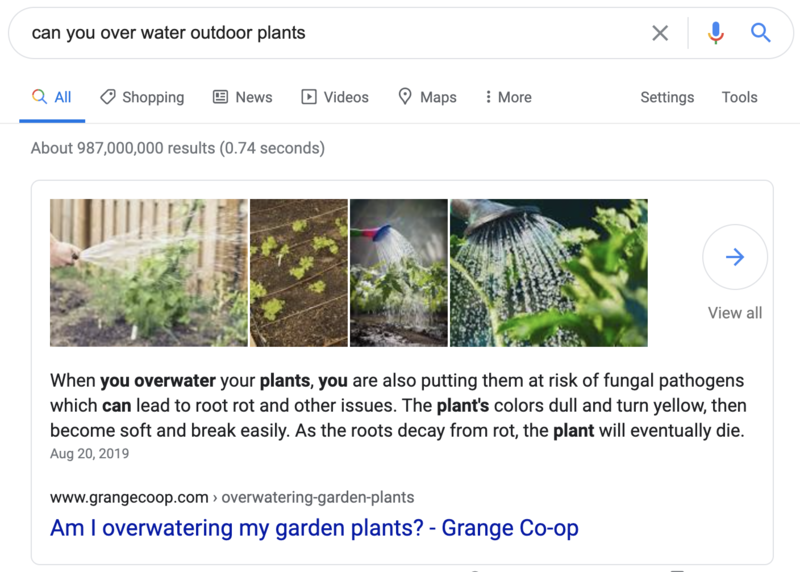 Example of quick answer search result - brightedge