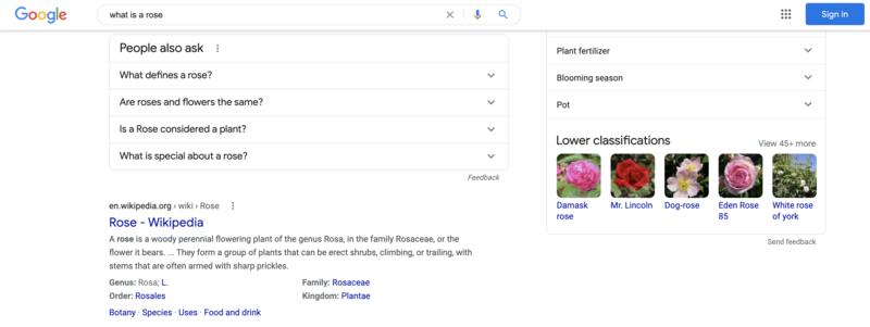Google BERT example - BrightEdge